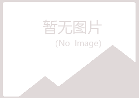 阿勒泰夜山会计有限公司